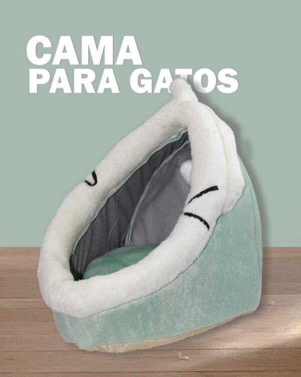 Cama